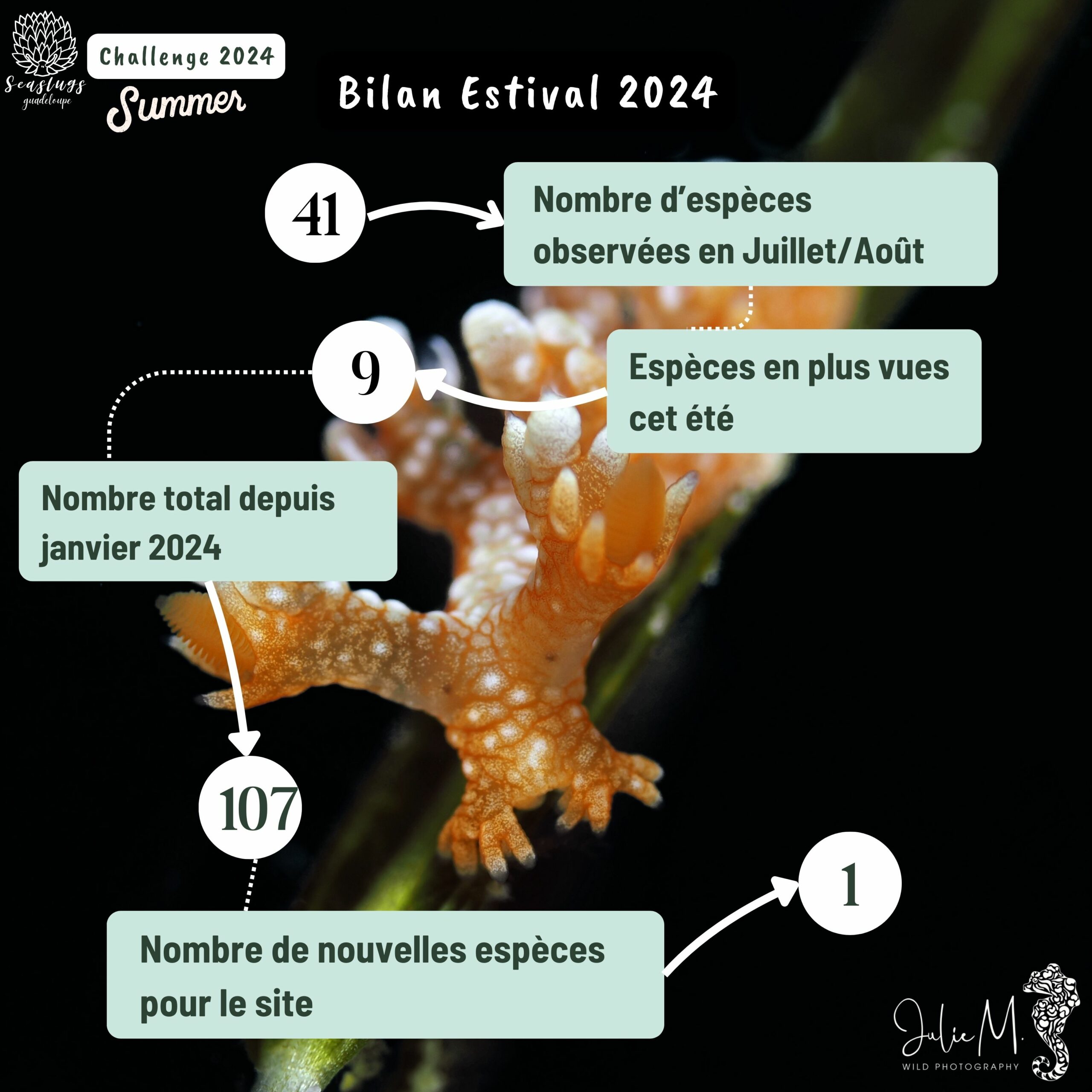 juin 24