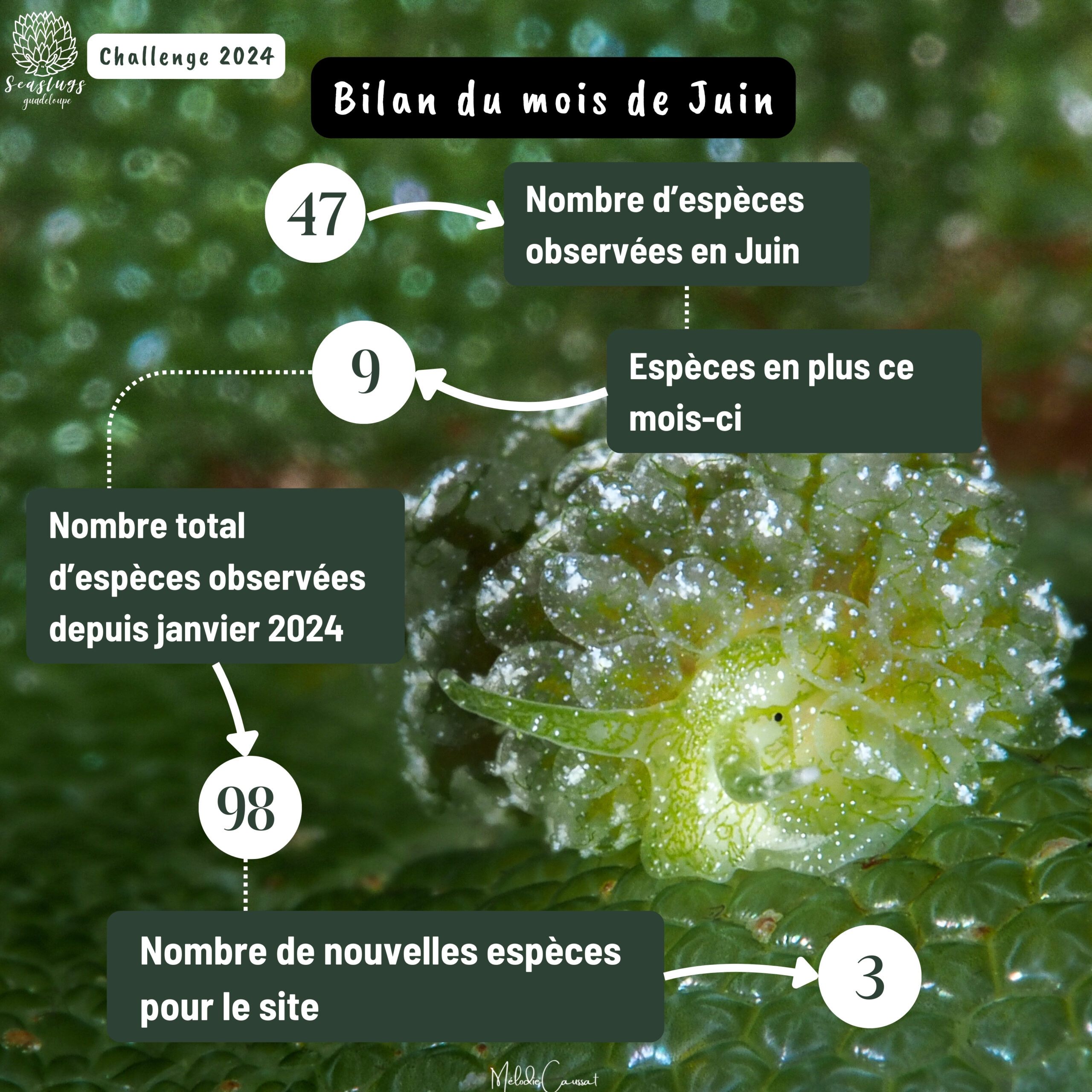 Juin