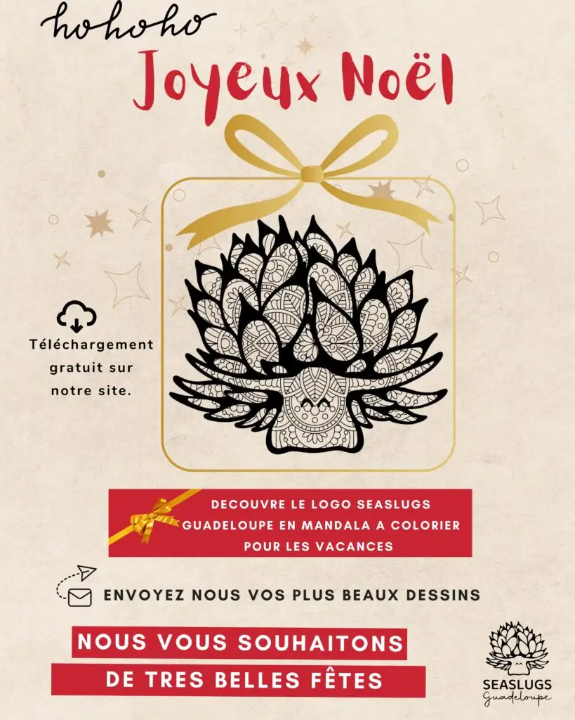 Noel mandala logo seaslugs guadeloupe