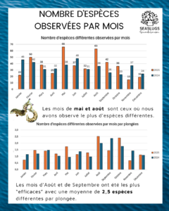 Bilan de l'année 2025 - Seaslugs Guadeloupe