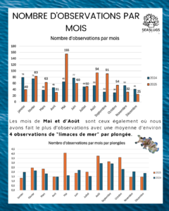 Bilan de l'année 2025 - Seaslugs Guadeloupe