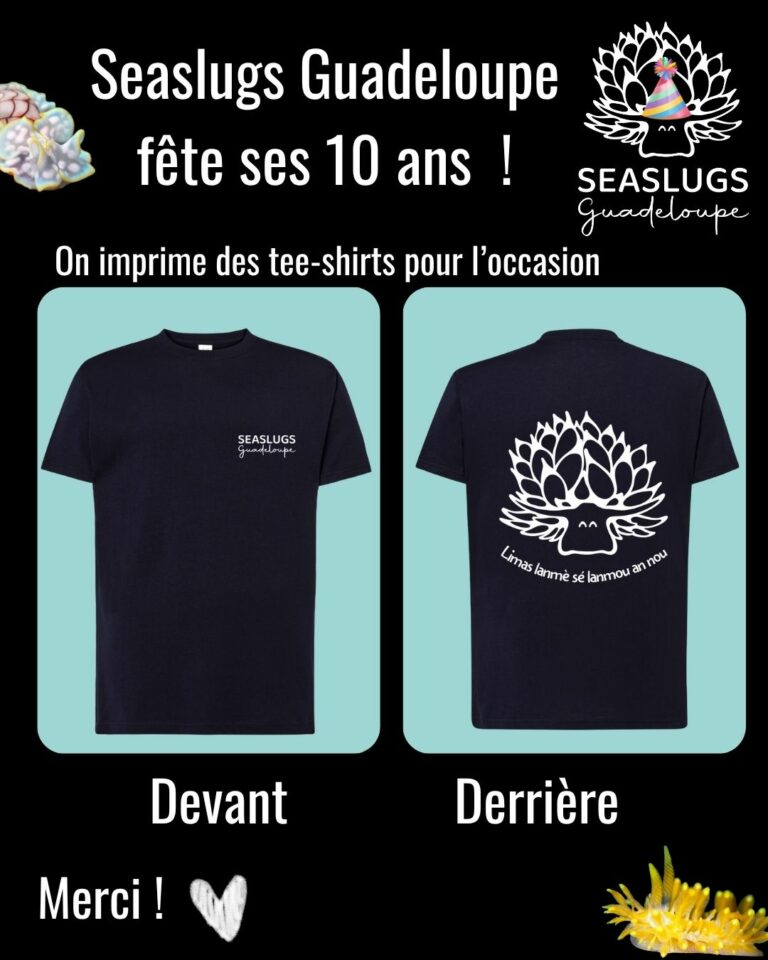 10 ans Seaslugs Guadeloupe