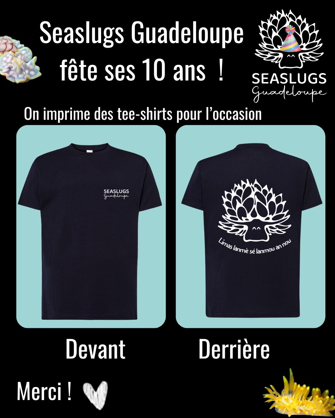 10 ans Seaslugs Guadeloupe